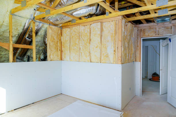 Best Insulation Repair Services  in Durant, MS