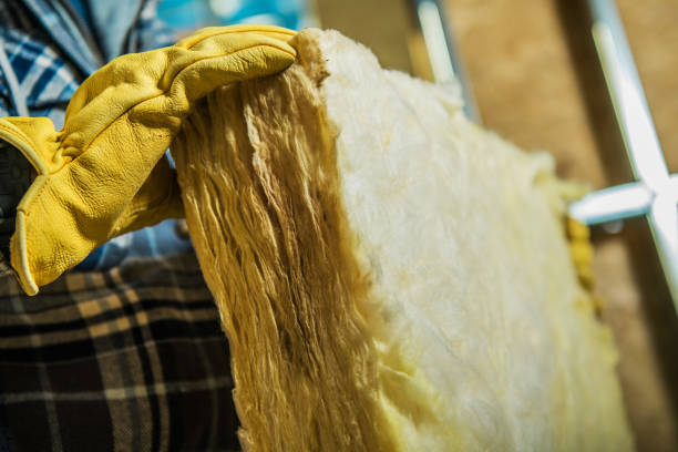 Best Local Insulation Services  in Durant, MS