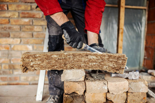 Best Cellulose Insulation  in Durant, MS