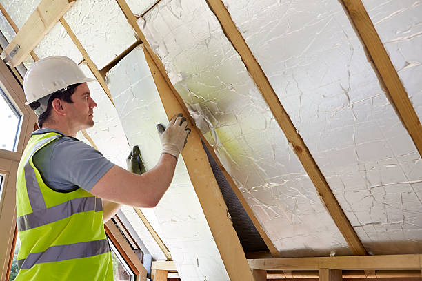 Best Energy-efficient Insulation  in Durant, MS