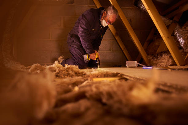 Best Attic Insulation Installation  in Durant, MS